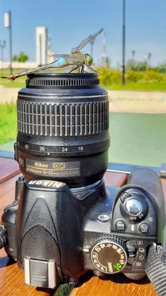 Photograph by Светлана Мазурова