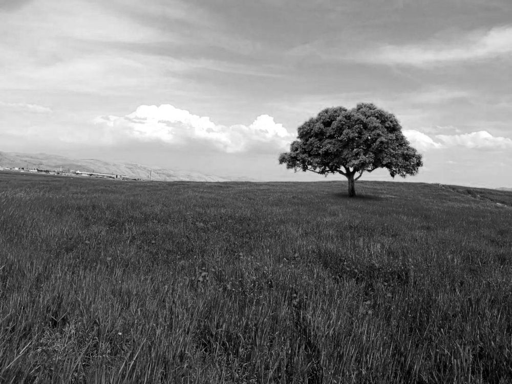 Photograph by Asma Rashidi