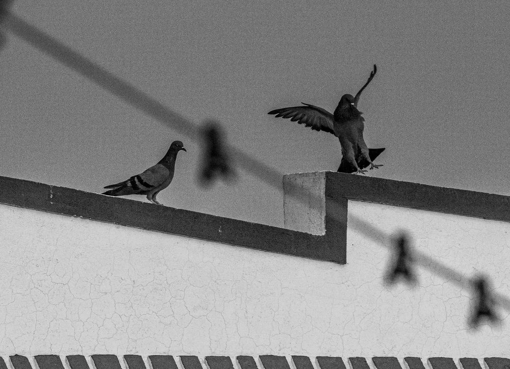 Photograph by Kumar Pushpam