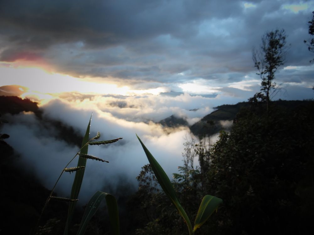 Bruma en los Andes 3