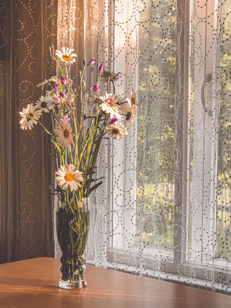 Photograph by Елена Красильникова