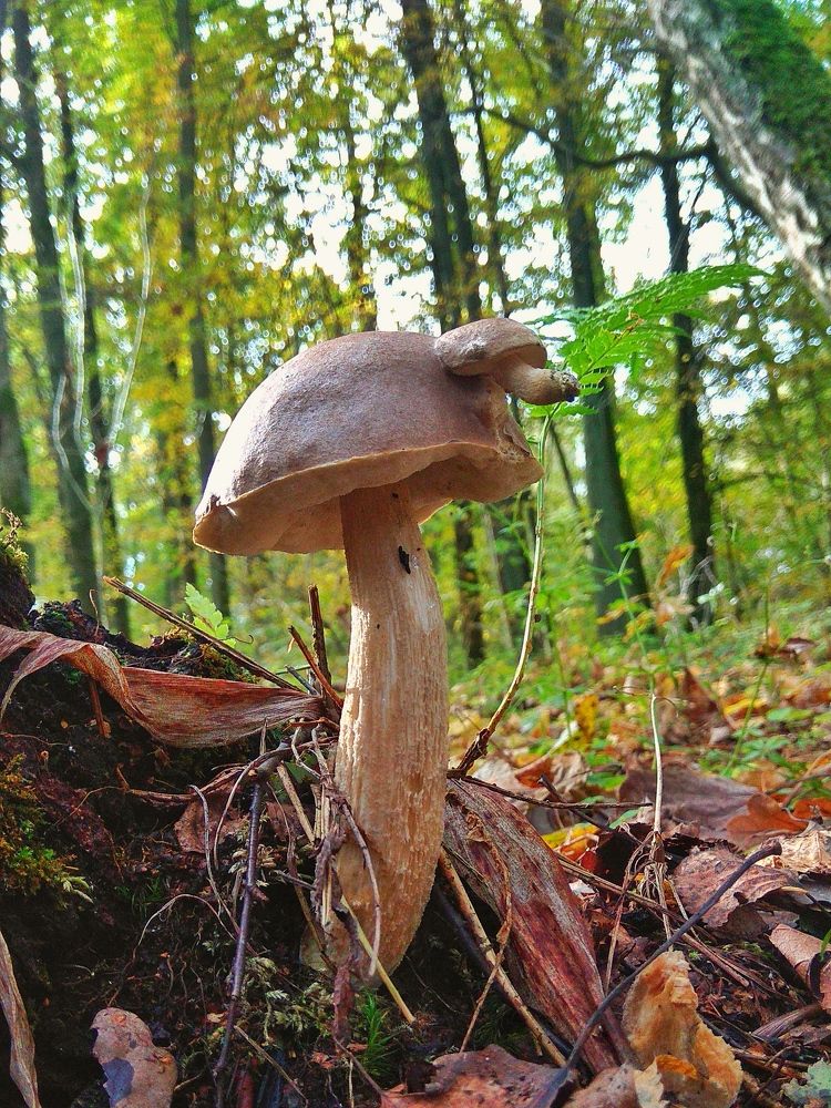 Photograph by Жигульский Сергей