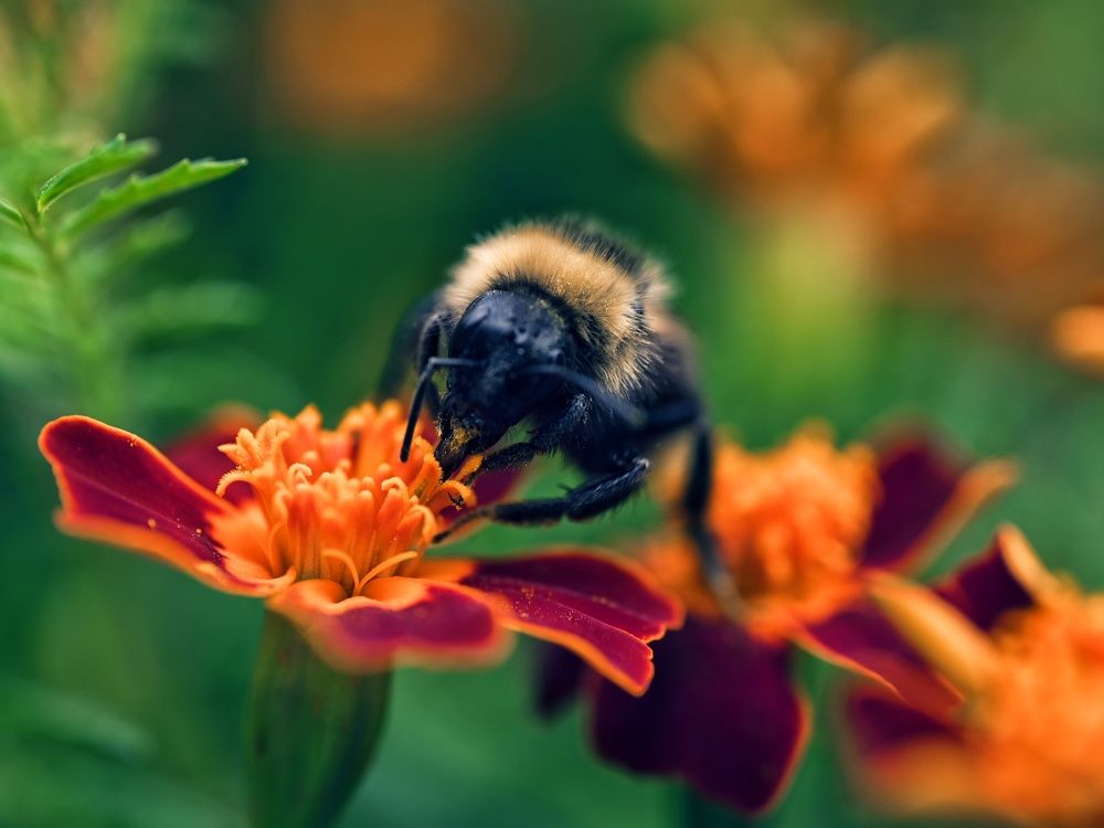 Photograph by Anastasia Uraeva
