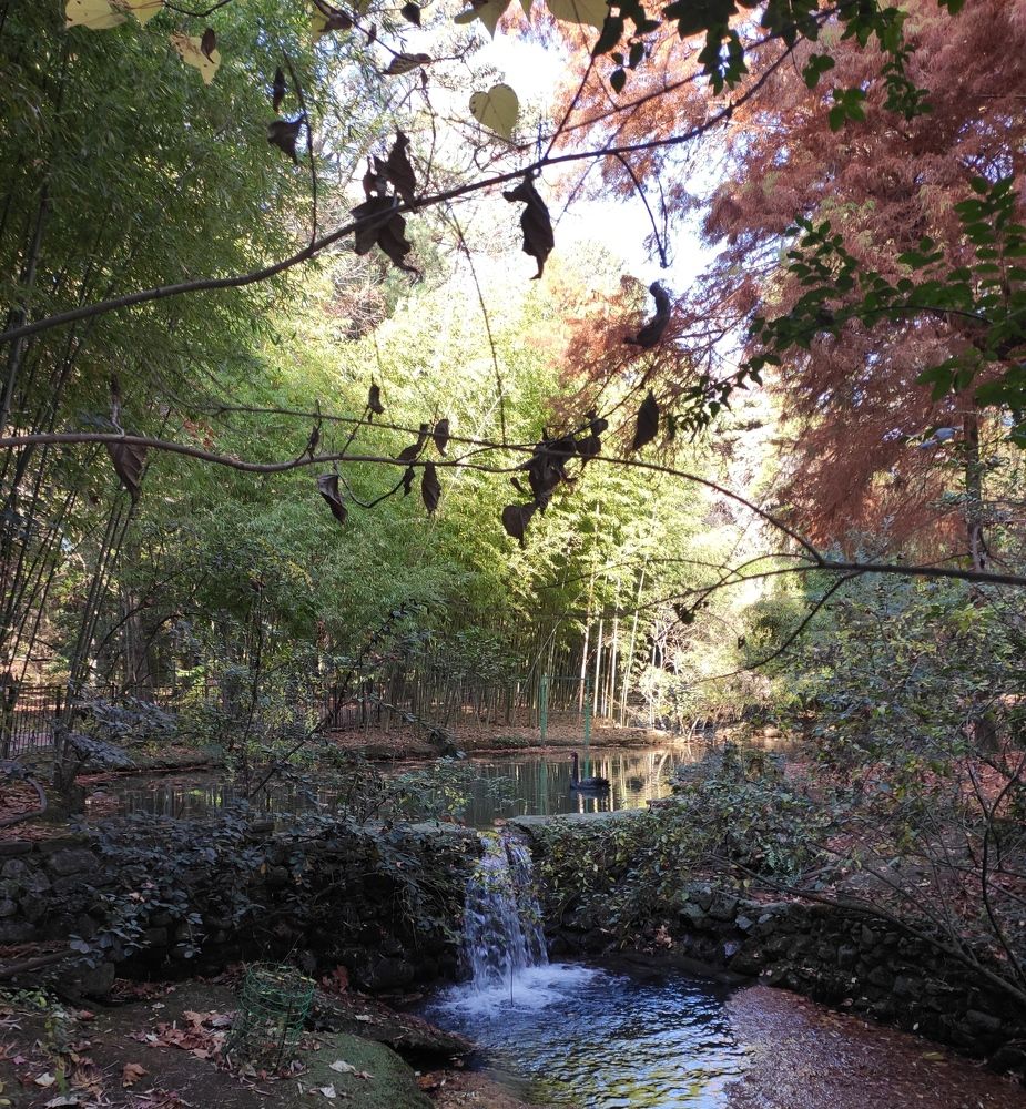 Photograph by Дмитрий Хайбулин