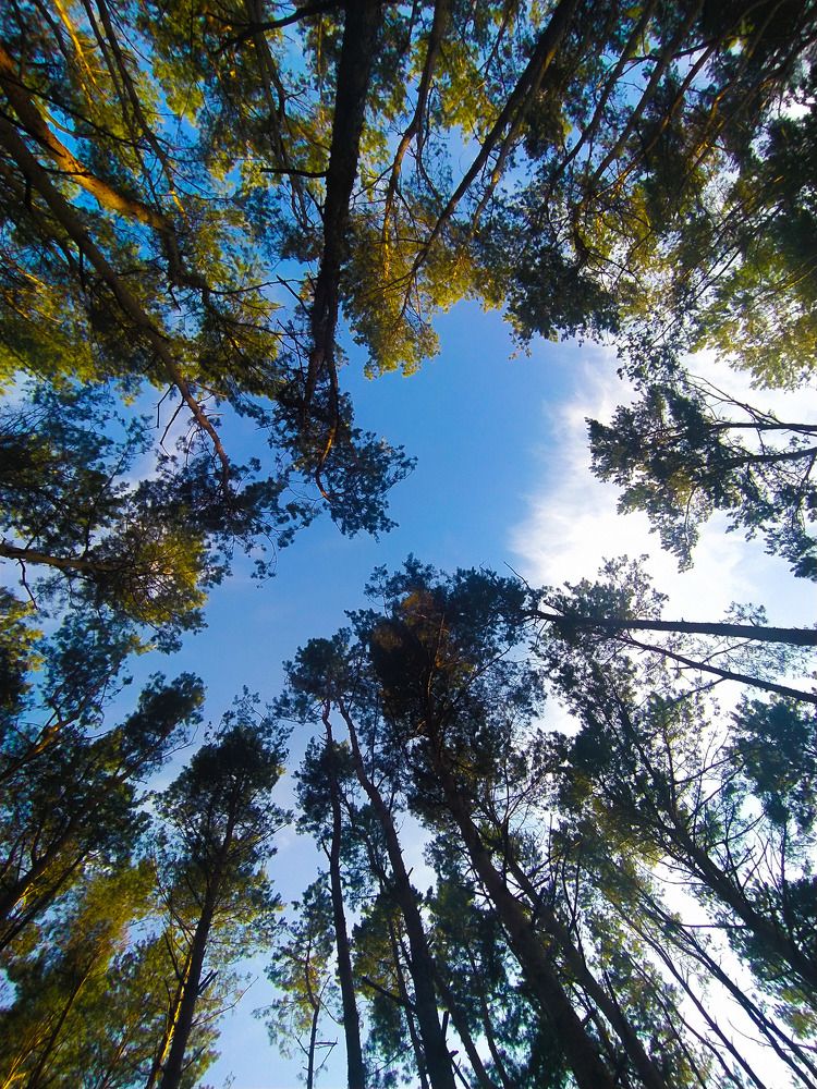 Photograph by Ирина Половцева