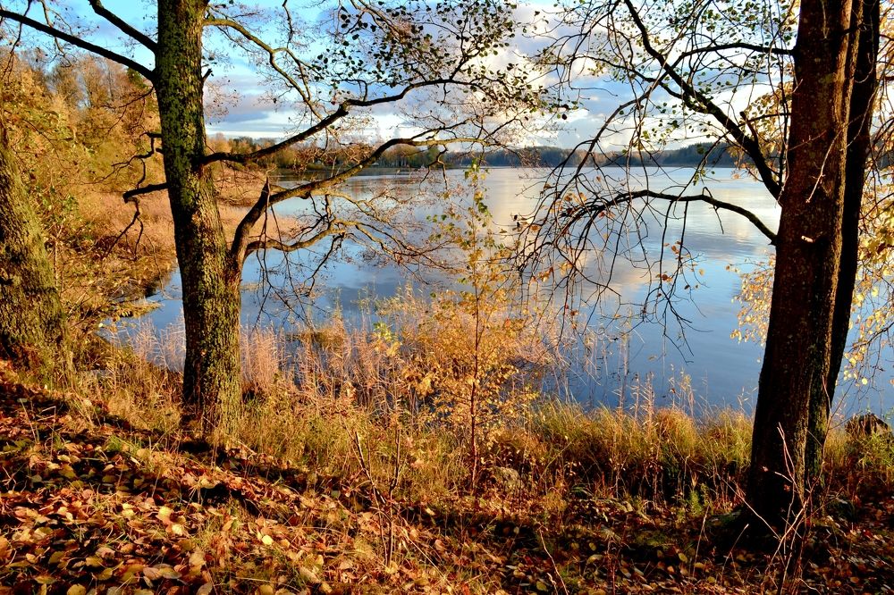 Photograph by Леонид Чеглаков