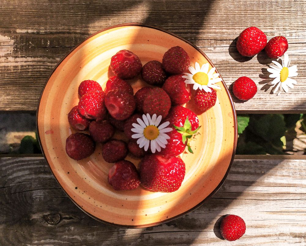 Фотография автора Наталья Агапова