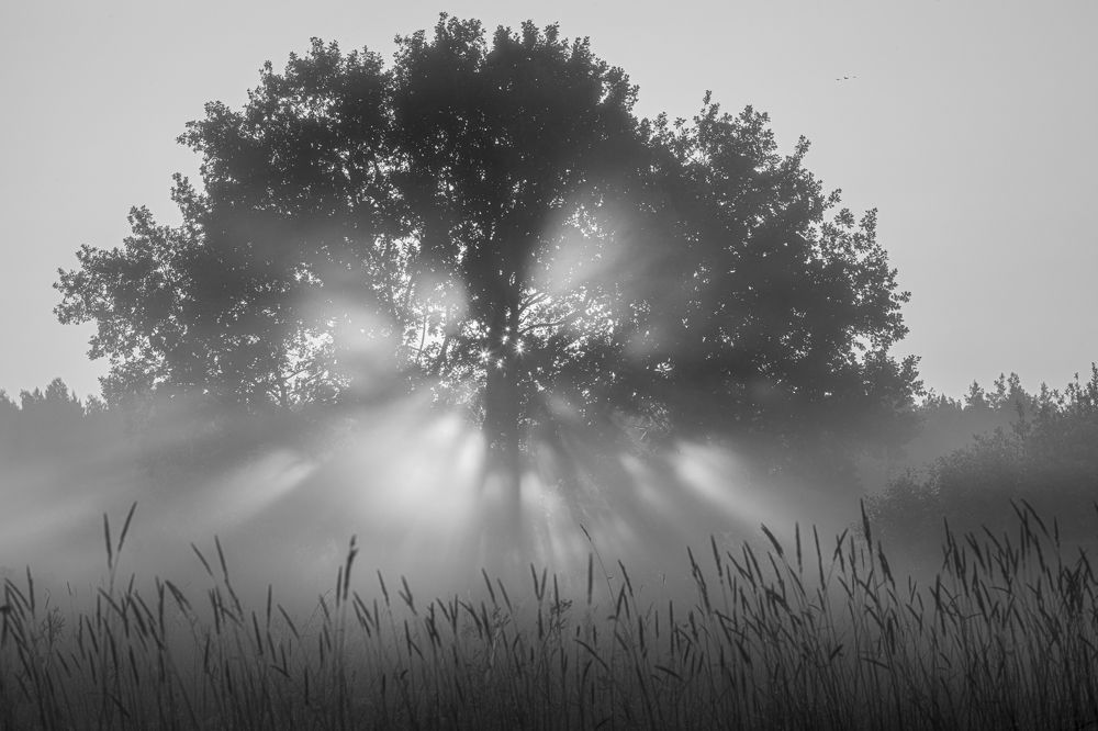 Photograph by Владимир Баранов