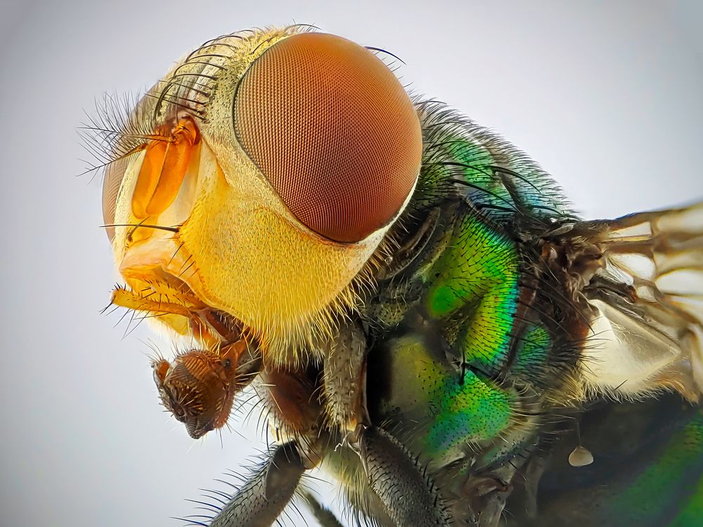 Photograph by Trung Nguyễn