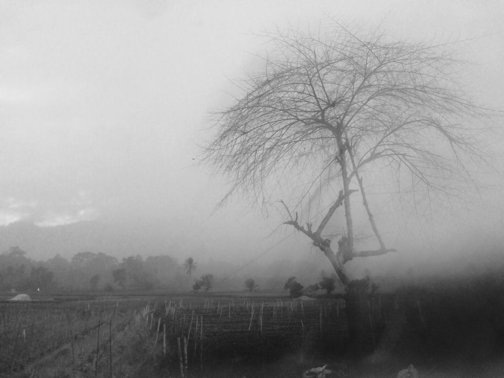 Photograph by Adalu Badrusa Adal