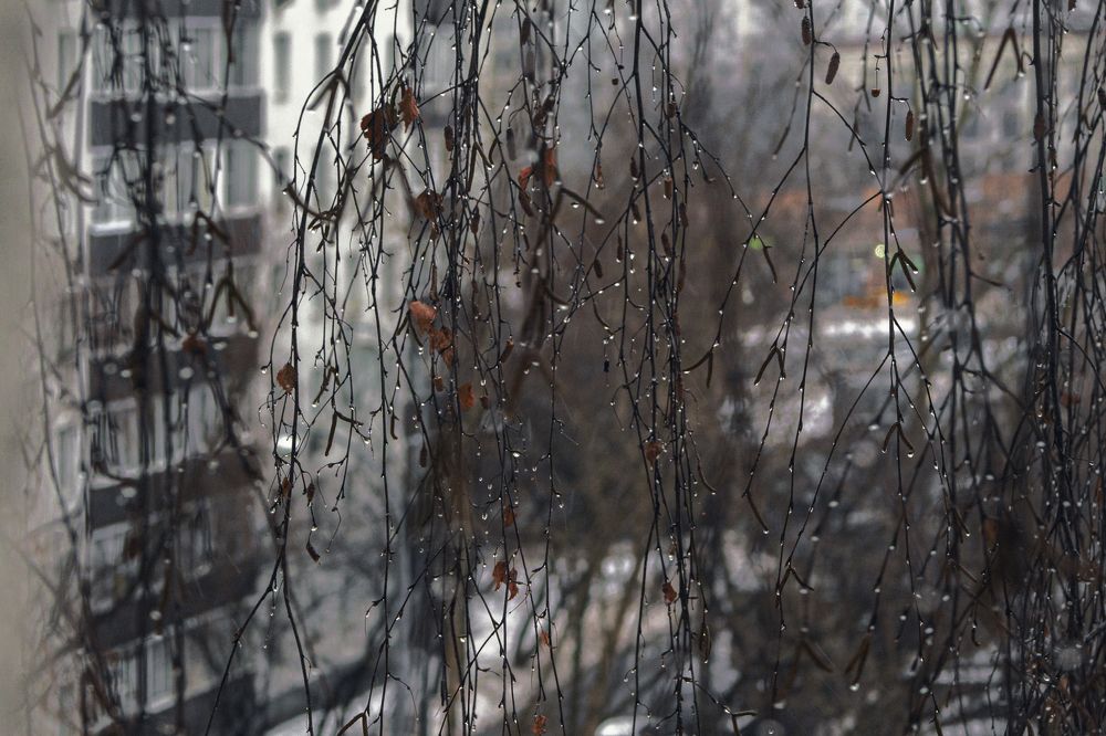 Фотография автора Дмитрий Нефёдов