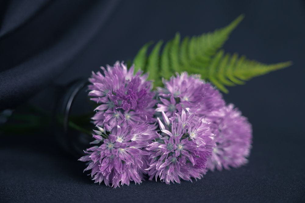 Photograph by Оксана Лупекина