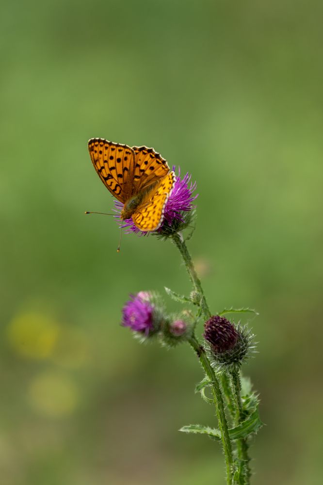 Photograph by Оксана Корчагина