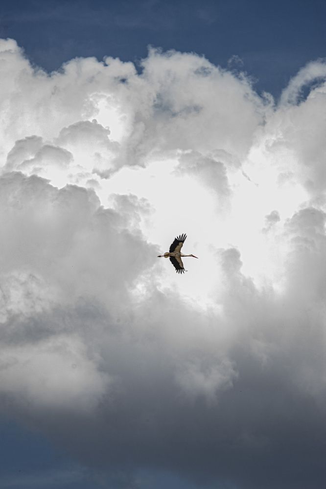 Photograph by Adelina Truhcheva