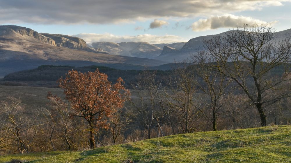 Photograph by Игорь Кузьмин