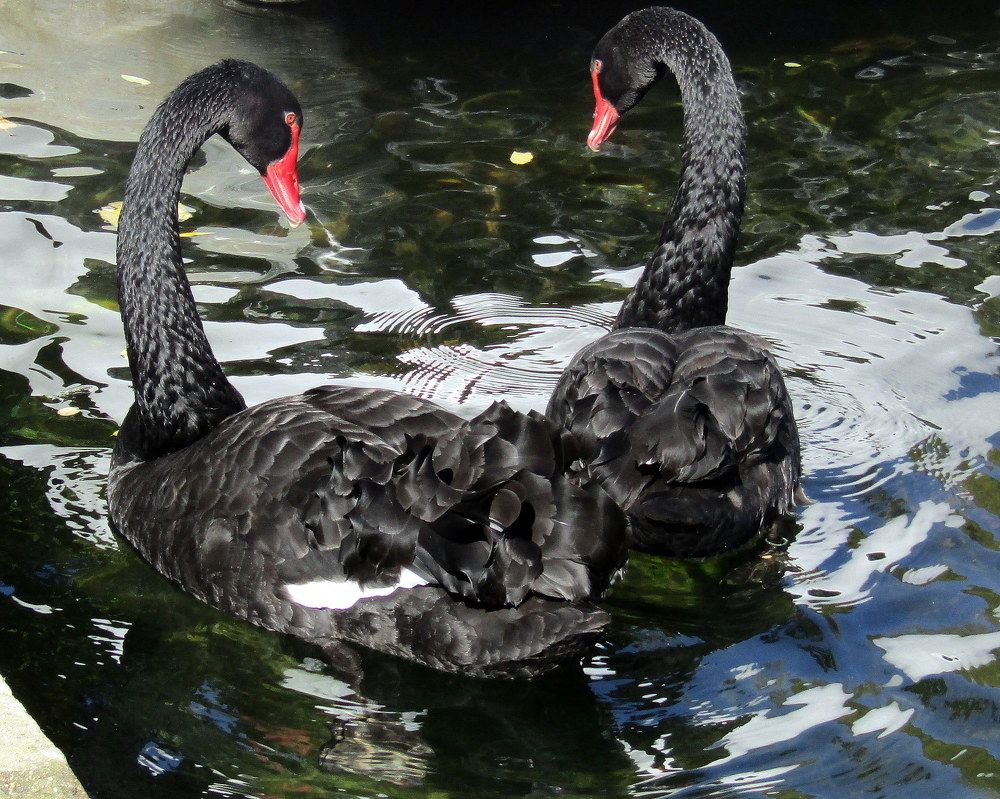 Photograph by Adelina Truhcheva