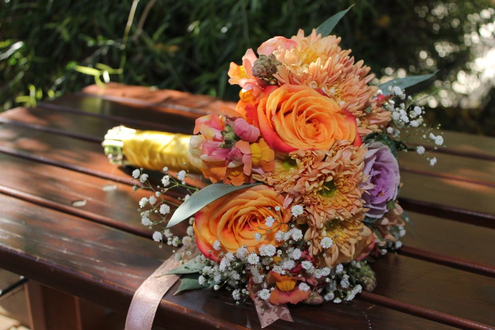 Photograph by Ferreira Francisco