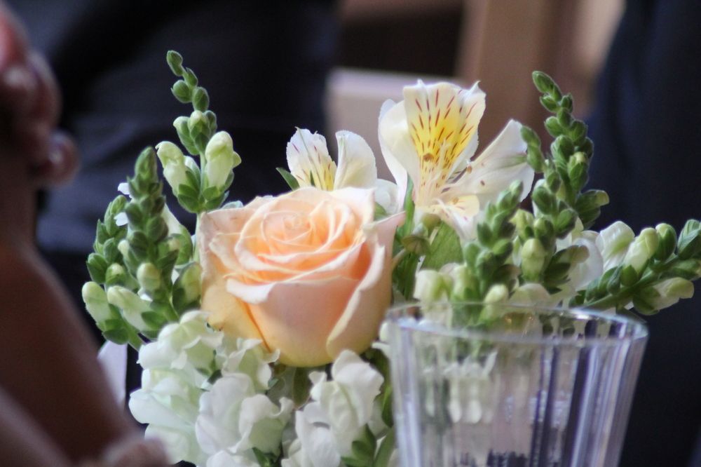 Photograph by Ferreira Francisco