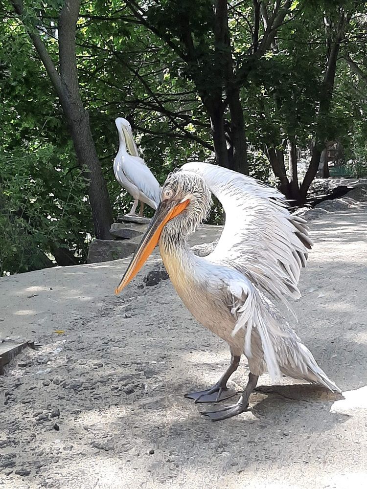 Photograph by Elena Goreva