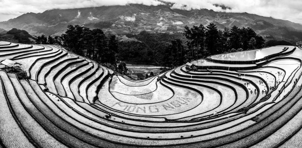 Photograph by Nguyễn Hải