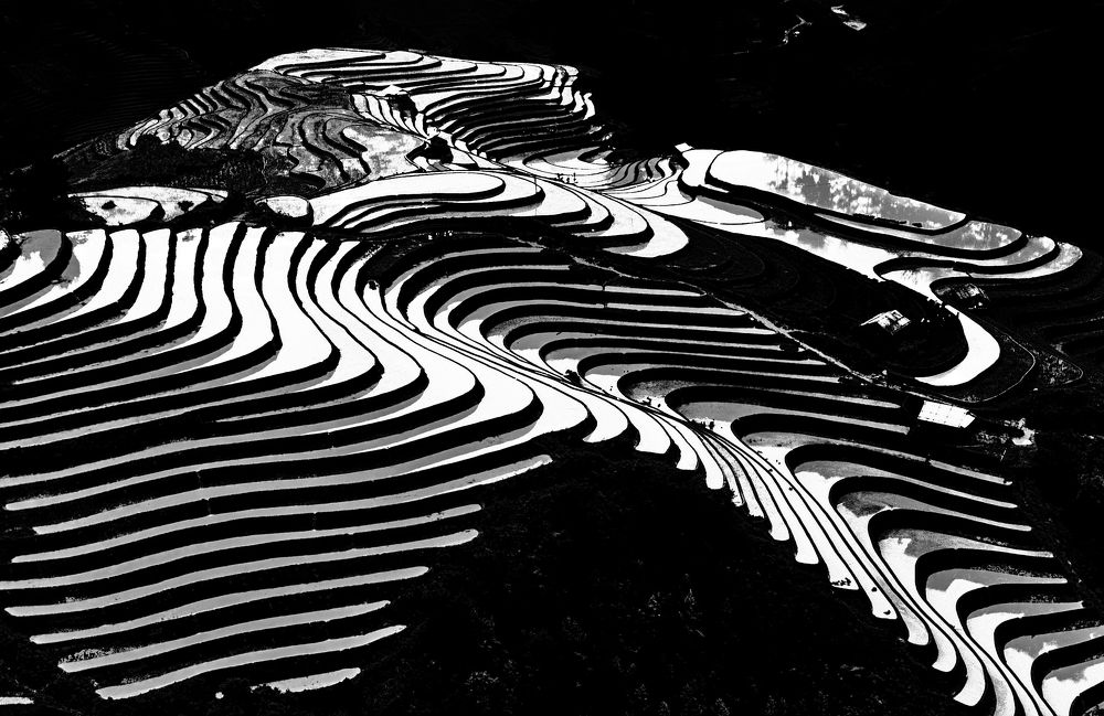 Photograph by Nguyễn Hải