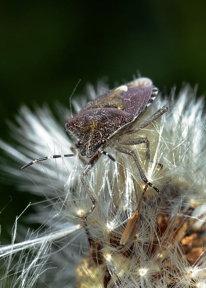Photograph by Валерий Пегушев
