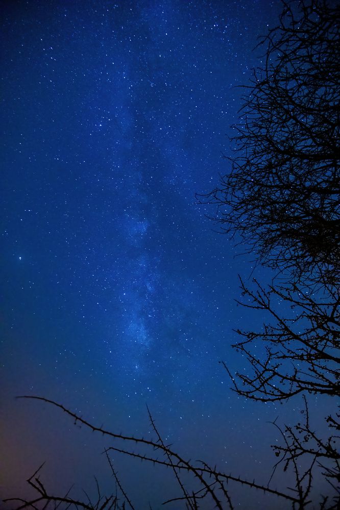 Фотография автора Sajeev Krishnan