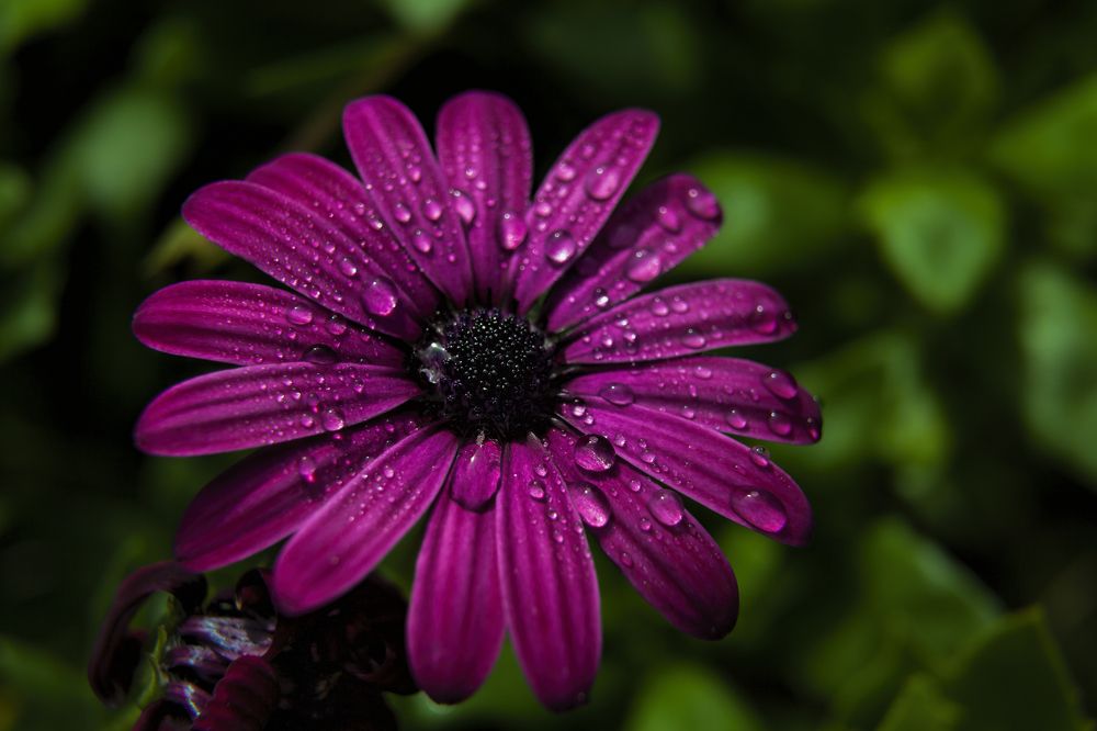 Photograph by luis peiteado