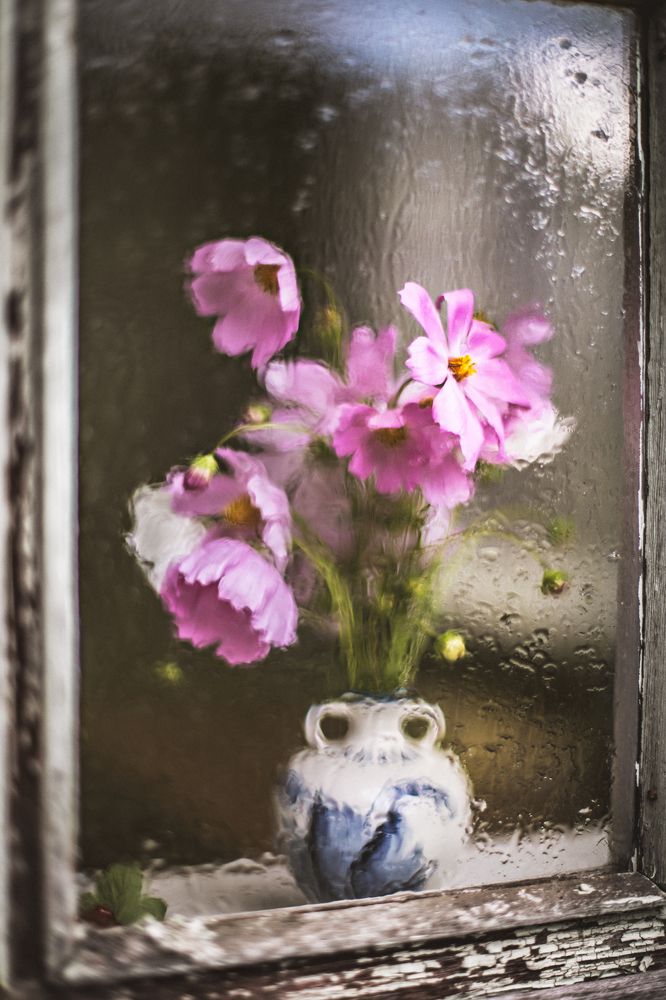 Photograph by Ольга Андреева