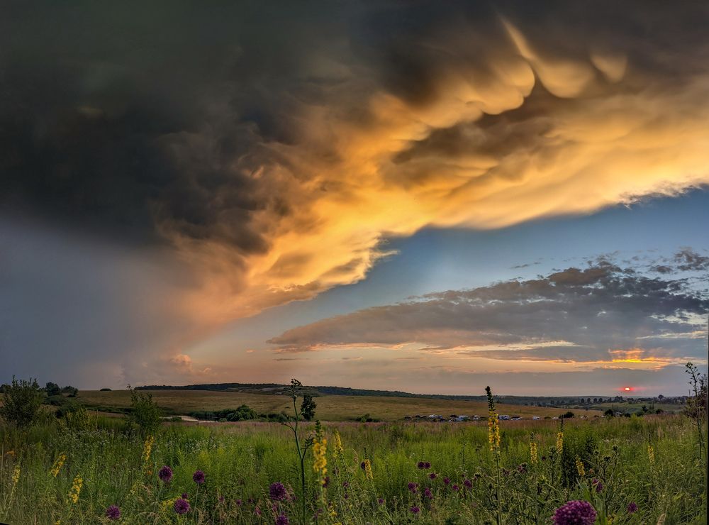 Photograph by Светлана Кондрашова