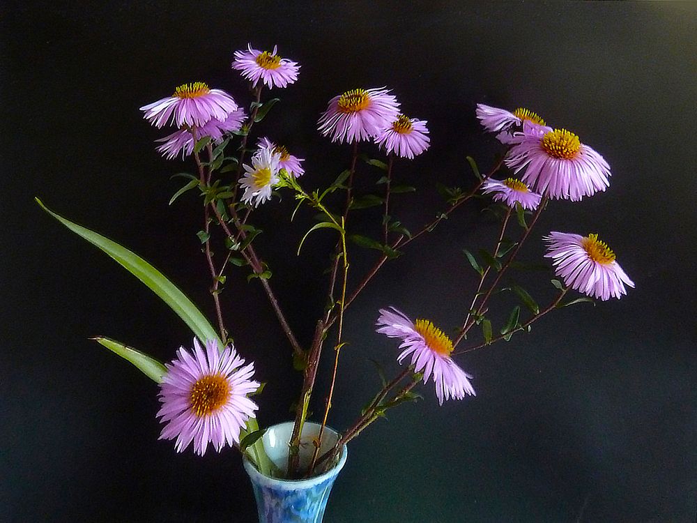 Фотография автора Клавдия Васильева