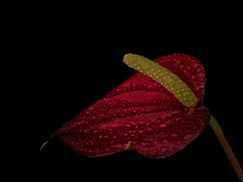 Photograph by Оксана Сидоренко