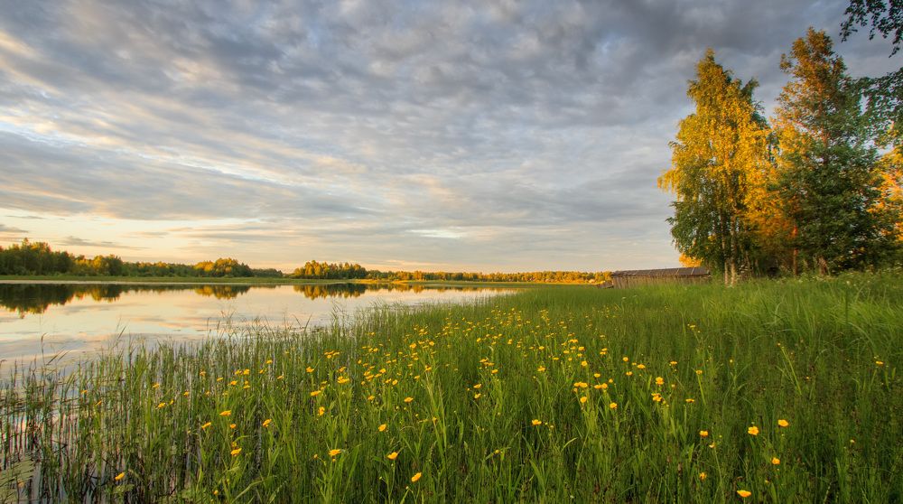 Photograph by NIKITA LUFEROV