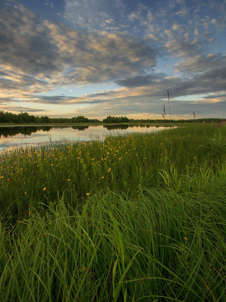 Photograph by NIKITA LUFEROV