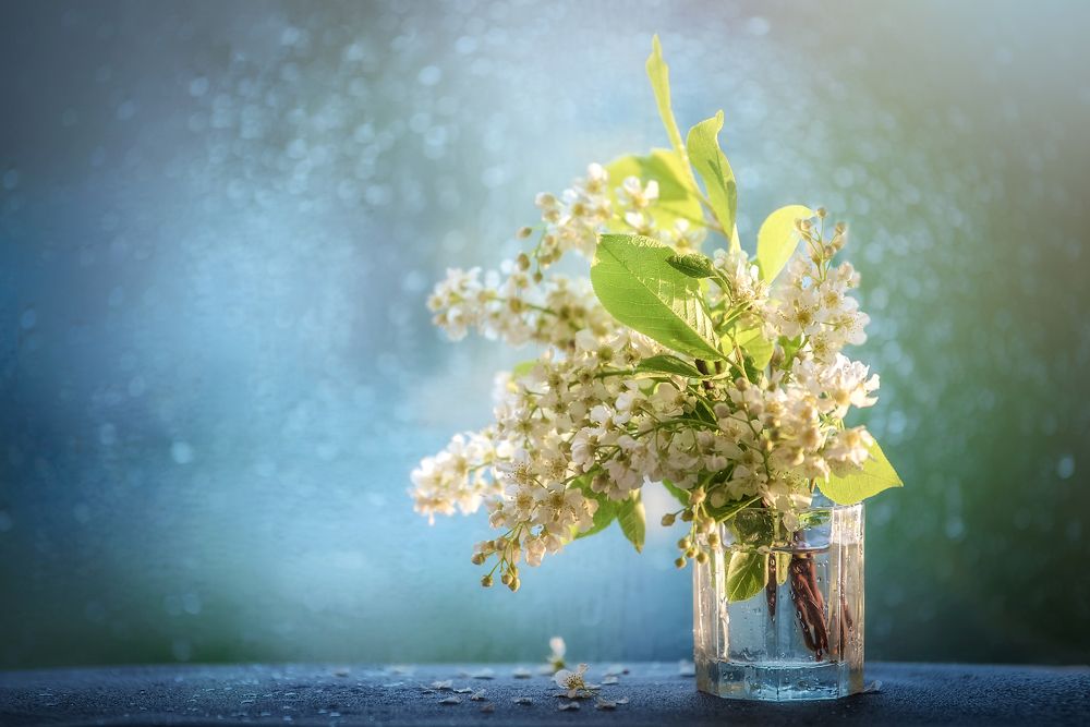 Photograph by Екатерина Попкова