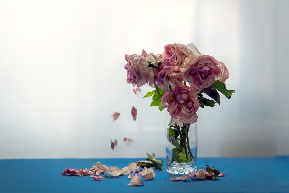 Photograph by Екатерина Попкова