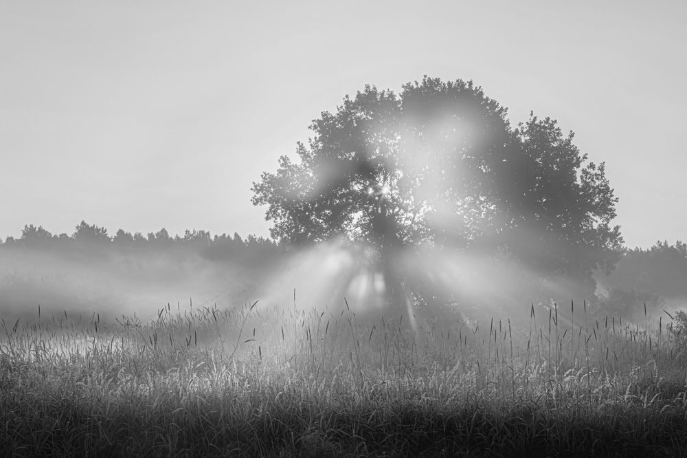 Photograph by Владимир Баранов