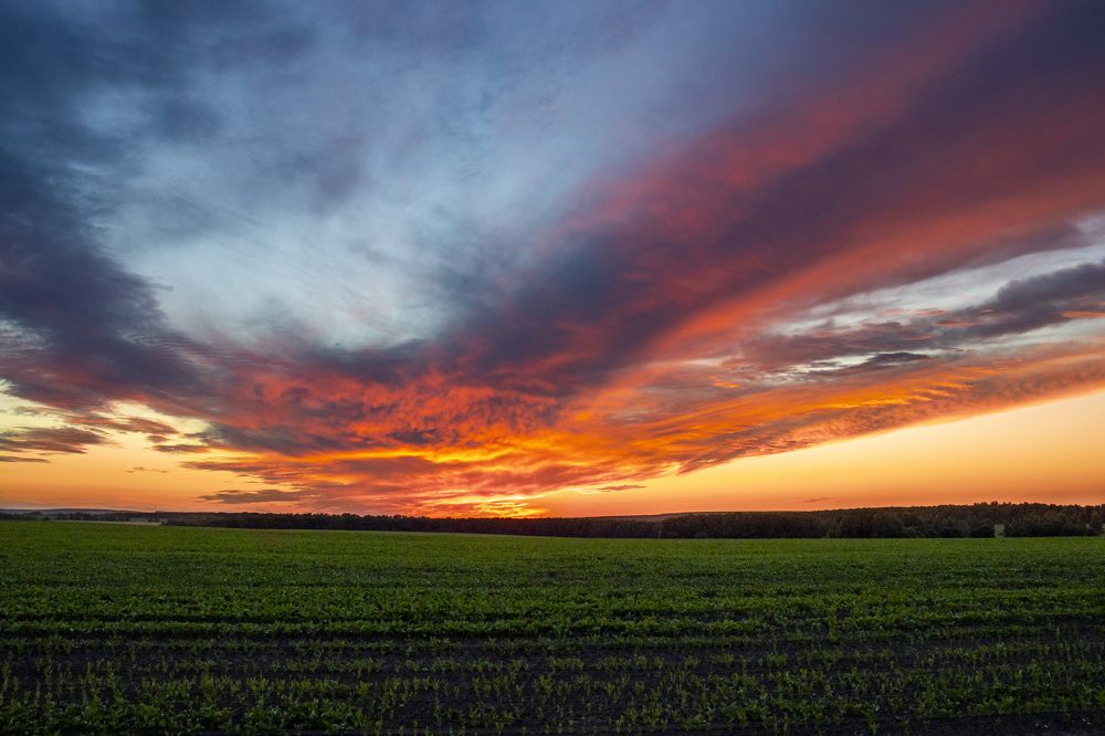Photograph by Александр Голиков