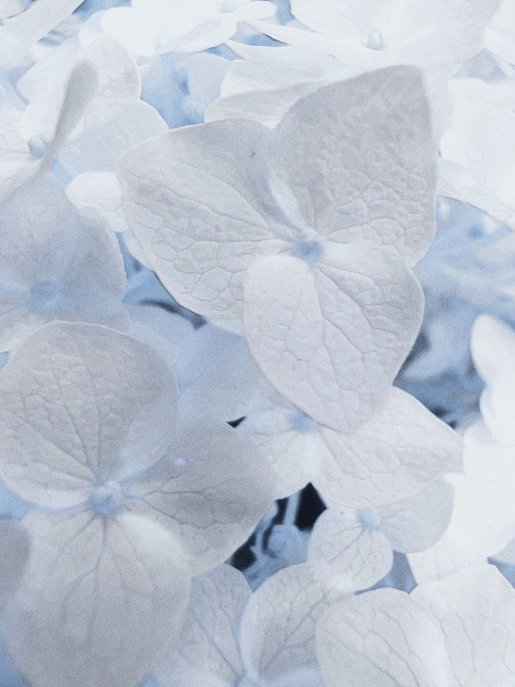 Photograph by Никита Утехин