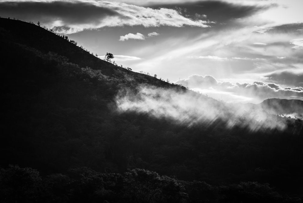 Photograph by Marielisa Iglesias