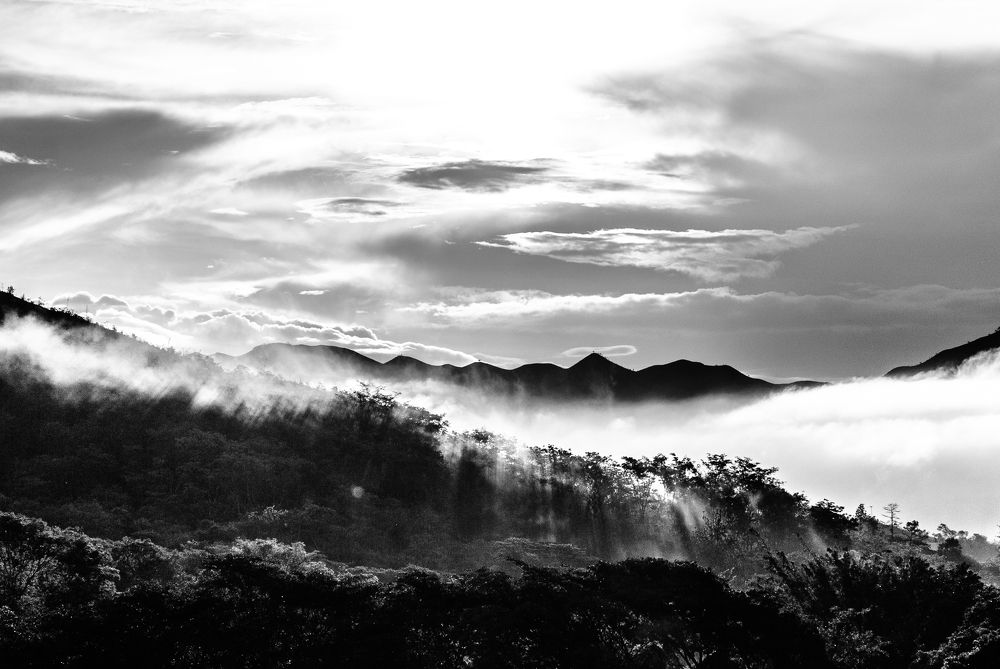 Photograph by Marielisa Iglesias