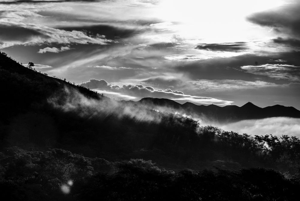 Photograph by Marielisa Iglesias