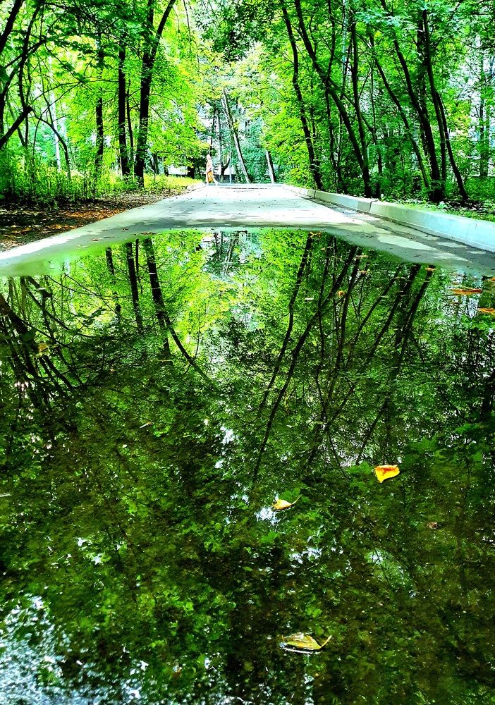 Photograph by Ева К