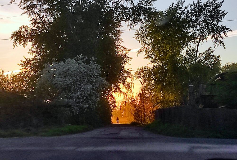 Photograph by Саттарова Ирина