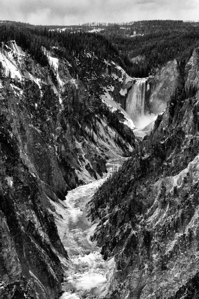 Photograph by Morring David