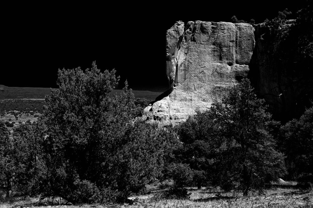 Photograph by Morring David