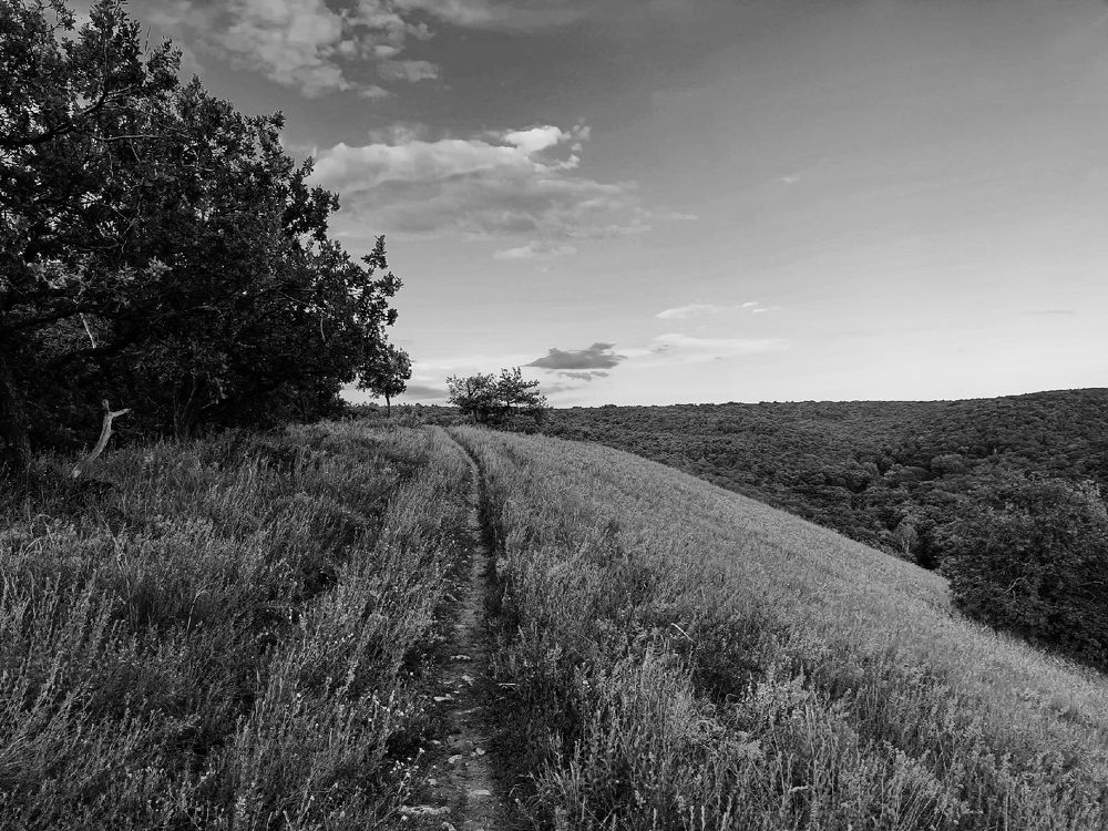 Photograph by Эльвира Куликова