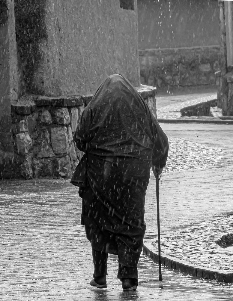 Photograph by Reza Heydari