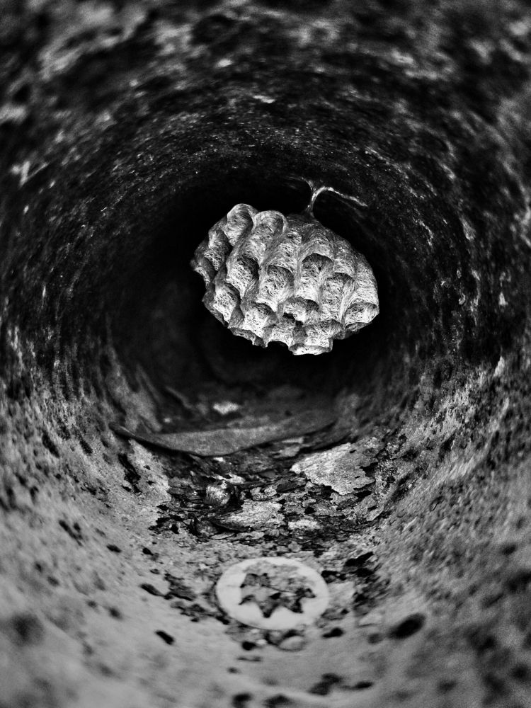 Photograph by Артём