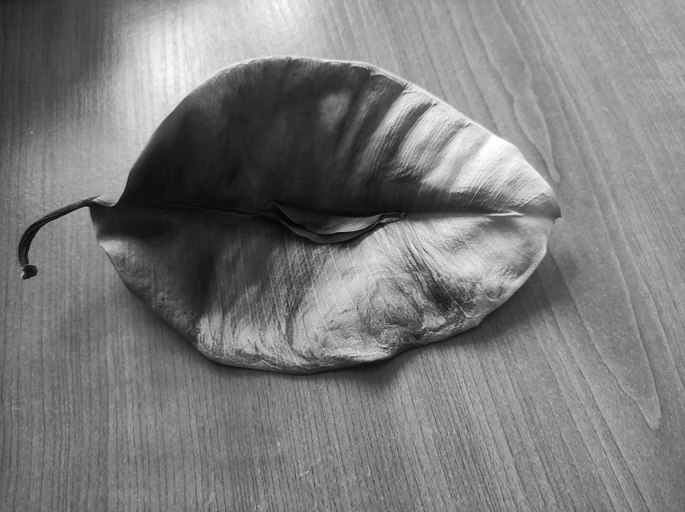 Photograph by Саттарова Ирина